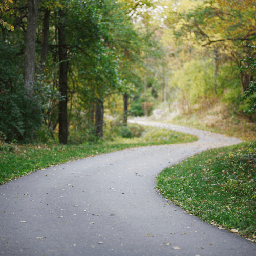 Image of path through woods, signifying your mental health journey to find healing through telehealth services. 